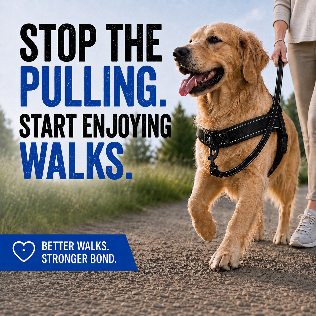 Calm-Walk No-Pull Harness + Free Leash